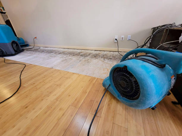 Professional Sewage Cleanup technician working in Iona, ID